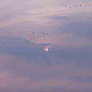 色妞www精品视频一级下载
